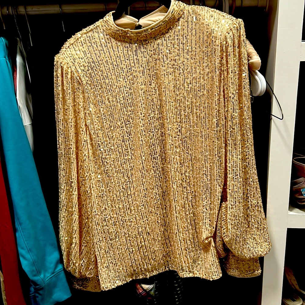 Sequin top